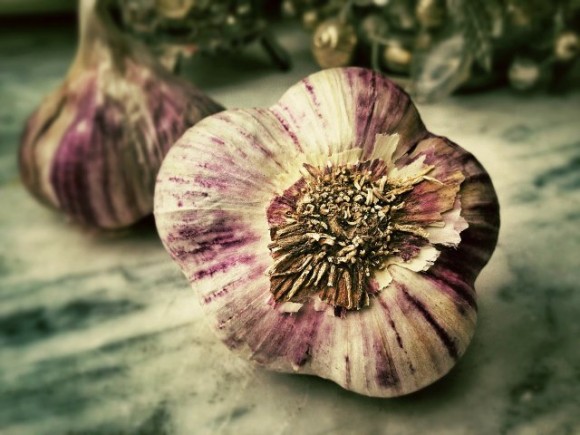 garlic-139660_1280